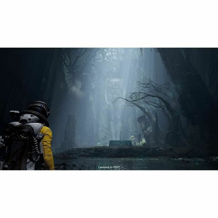 V7H9CC06574B97B64C38CB94DAE07AED446R3750942P2