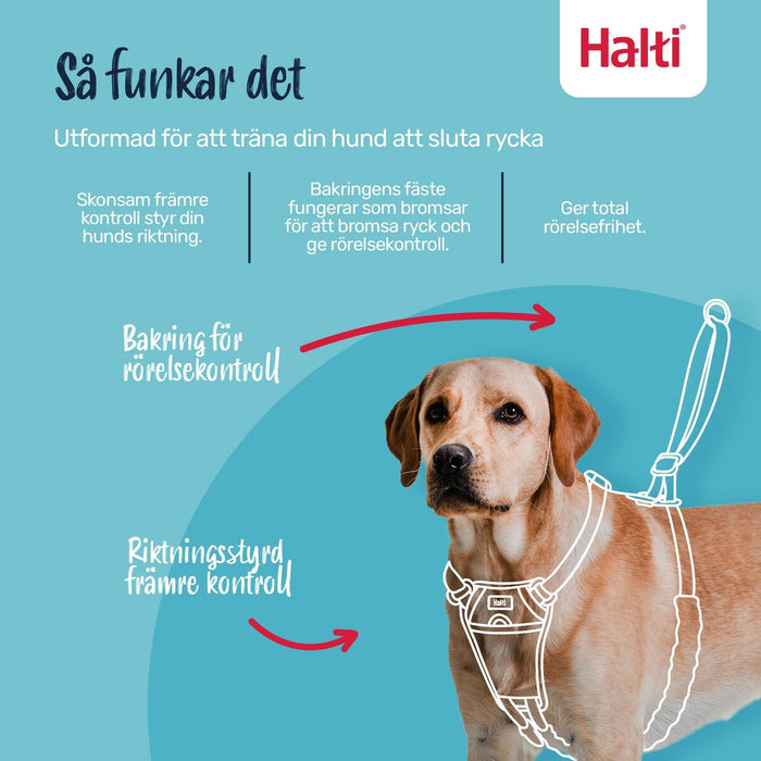 V3HFEC9156E0B0487377194000B2C195A02R7523510P2