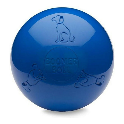 Jouet pour chien Company of Animals Boomer Bleu (200mm)