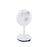 CHACON - Caméra IP Wi-Fi intérieure  - 1080P (GH/ Alexa) - Bestpower