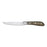 Meat Knife Set Amefa Achille Metal 23 x 2,4 x 1,5 cm 6 Units