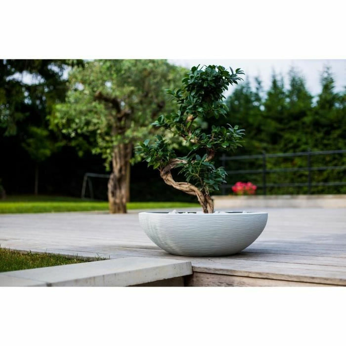 V8H8F7B084A00676515C36A339ACA8F83ACR3441716P4