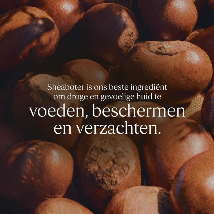 V2H98F2A69BDFE7B9A9F285FB76E7106384R7654565P2