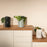 V5H8F0F0DC58E06D819431ADEF2A18B09AER7024758P5