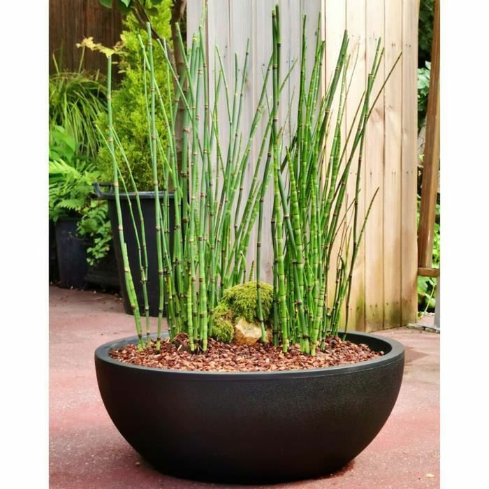 V9HE74F5A30705B0C03DE1386645ACE60A4R3433565P2
