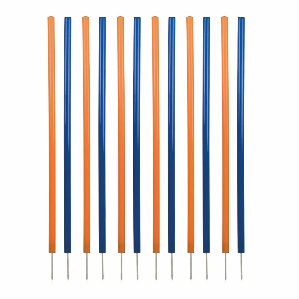 V5H0E1D33632766FA60CE1E5A698BCAF1E9R5763181P1