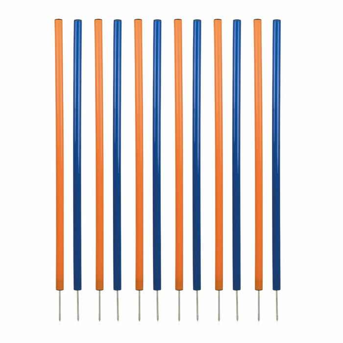 V5H0E1D33632766FA60CE1E5A698BCAF1E9R5763181P1