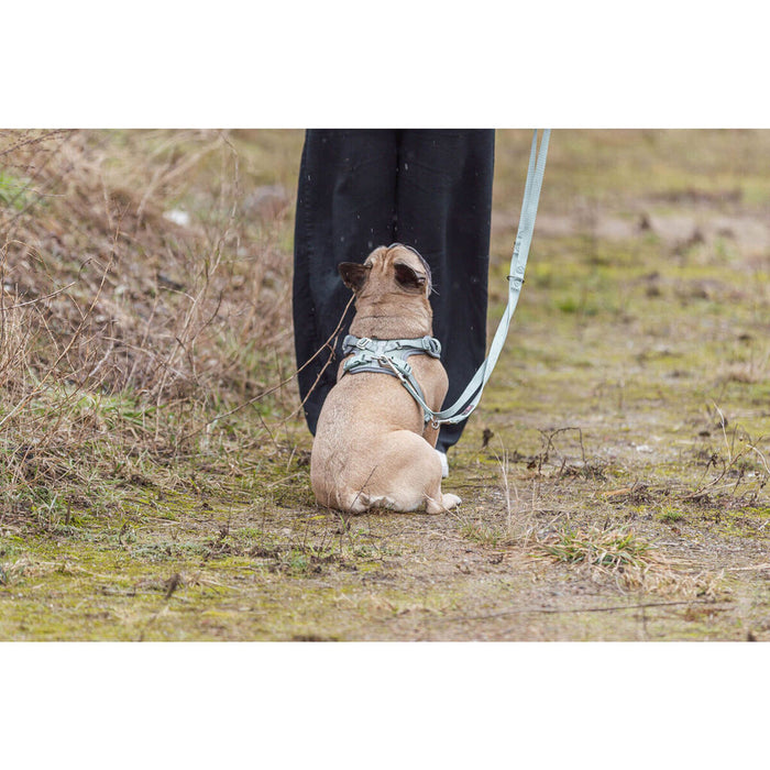 V5H9799C3F0753083B29896445A9189AFF3R7463853P5