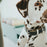 V11HEBFBED00EE11937D80F419842A63D94DR7797598P6