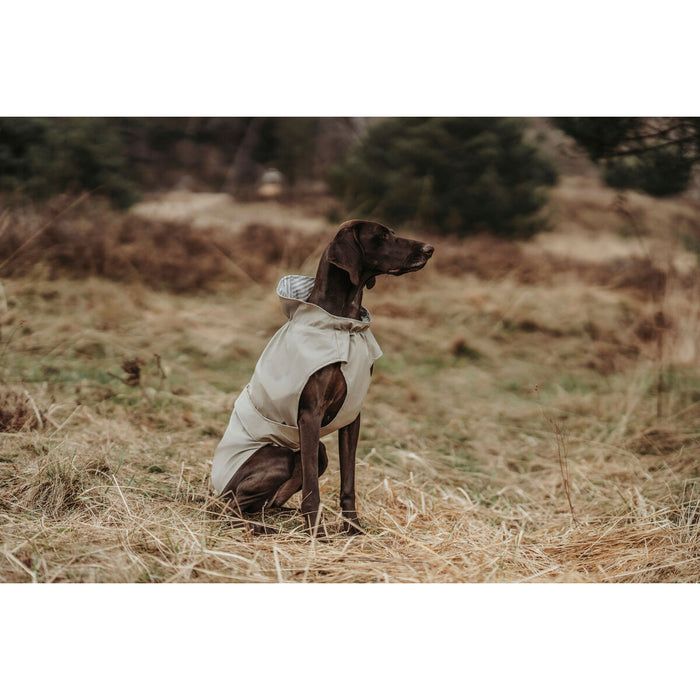 Dog Coat Hunter Milford Beige 40 cm
