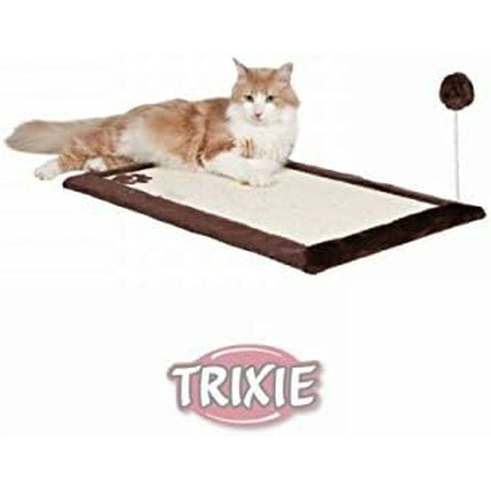 V5H3861126EB99AA978065BCBBD46F66BEER5769519P9