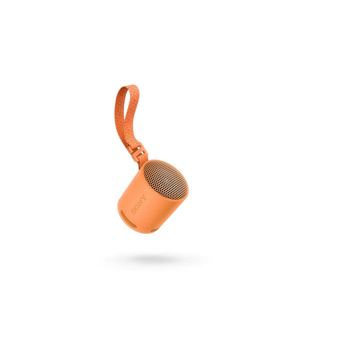 V6H509BE2BF9D1D9A58C60C0993BAE7A0D2R5282307P2