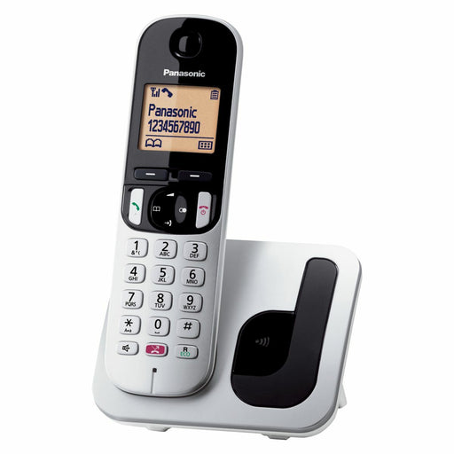 Téléphone Sans Fil Panasonic KX-TGC250 Gris Argenté