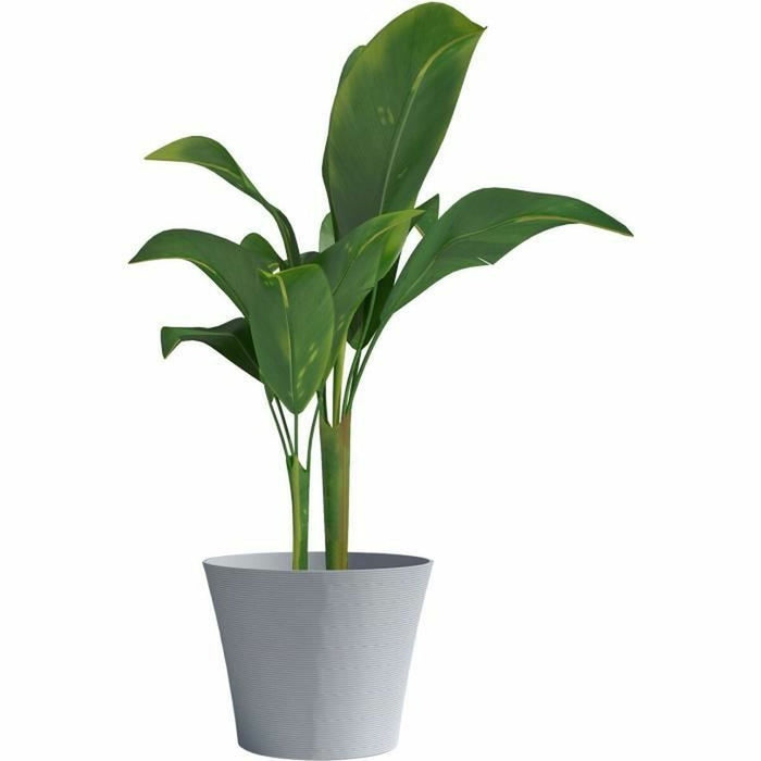 V6H9570AC4986928EB6CD12623997200521R5151620P3