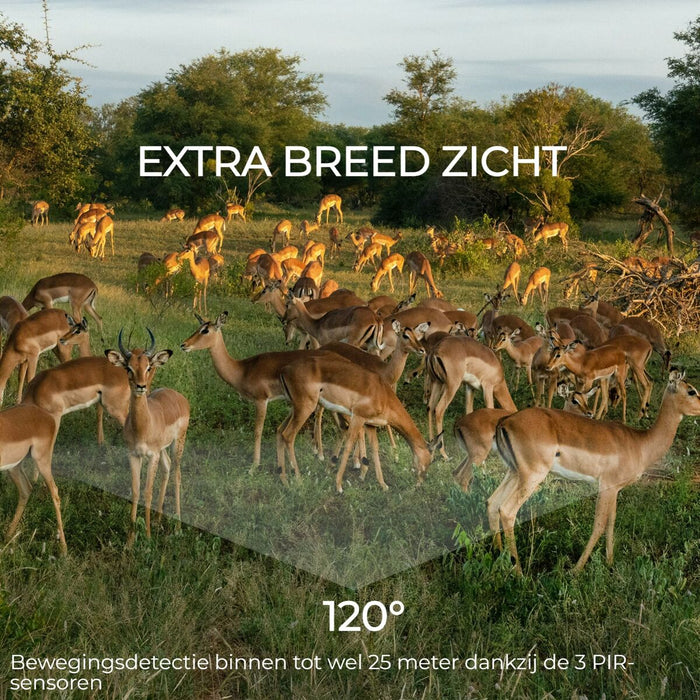 V4HC53C72842D243E3D18D4DC0E042E5246R6643282P9