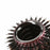 V9HB7A2C72777184140D79743FFA7D24533R4326023P4