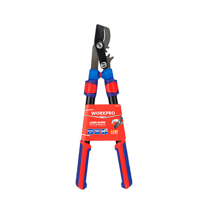 V3H5D5F251291B0464BE207374478B68122R7506169P2