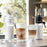 Superautomatic Coffee Maker DeLonghi Eletta Explore ECAM452.67.G Grey
