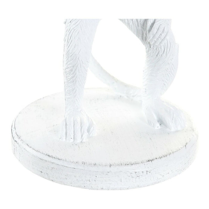 V12H7496753E7F9B88C5536ED50869B839DBR6371086P4