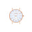 V2H21C951A25B33F585B6DFD43A2BFA710AR4510517P1
