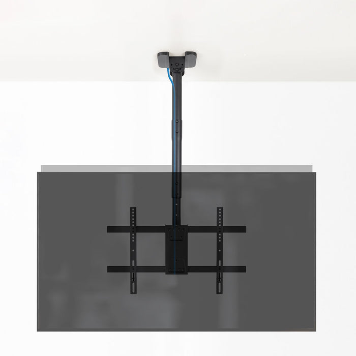 V3H6FDD88576A290535B5EA468178964A6BR5156943P2