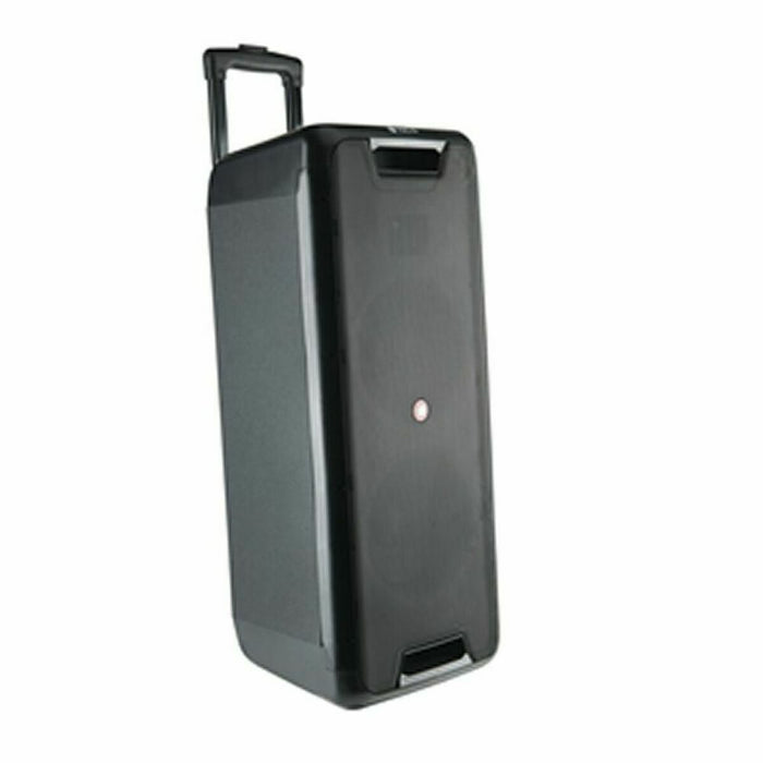 Wireless Bluetooth Speaker NGS WILD RAVE 2 Black 300 W
