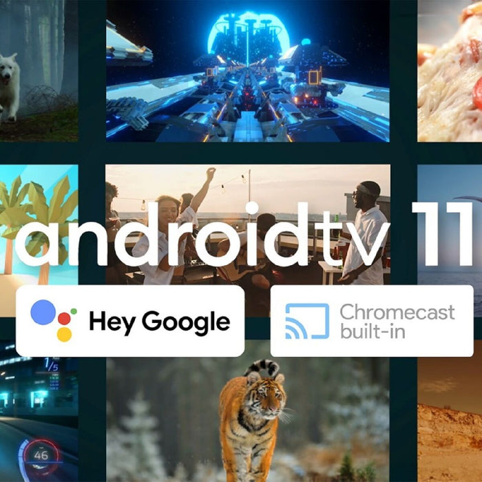 V6HC4794D6A498623ED86FBE7B942011210R5503814P2