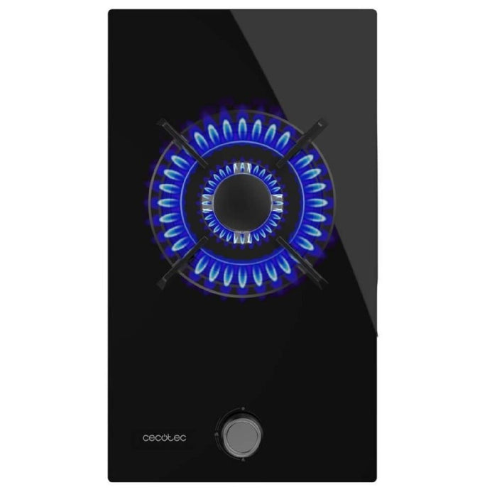 V4H08DE4C42575529CDA5CD9931A07AAE8FR7402003P2