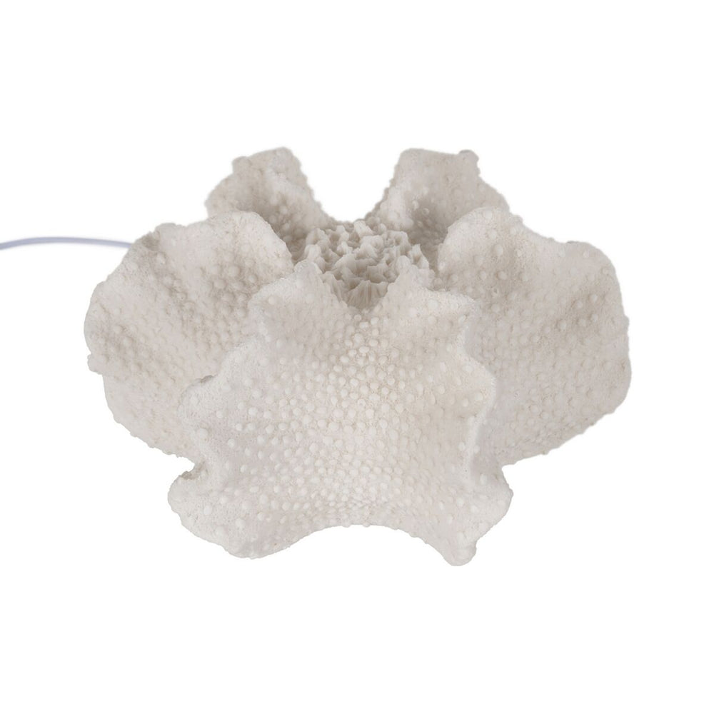 V6H94F25A9CF85503108D5EF0A5DF19CE9BR5375034P1