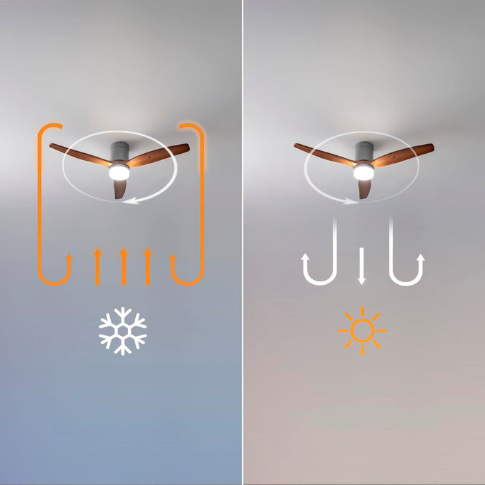 V2H9D9CC3DA22302D4F2F1BAB3624C1A5C8R7708868P7