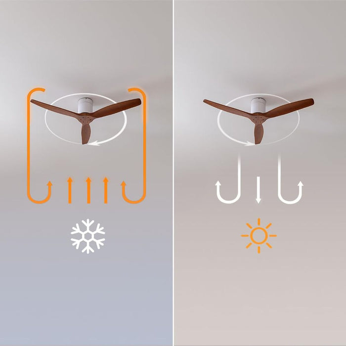 V2HEDDBB53D02C74ABF6D31B43E1F759AC7R7649263P6