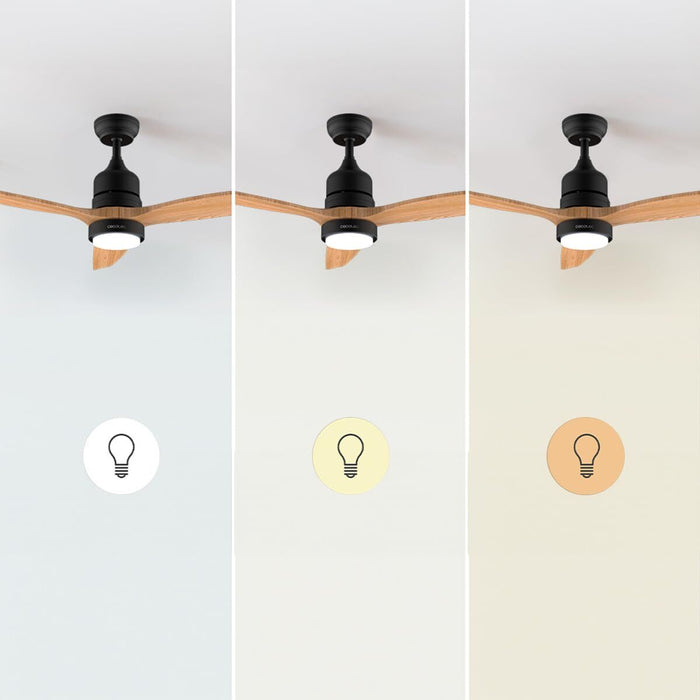 V2H934593F26658F1B82461F61B8B6620F0R7708891P3