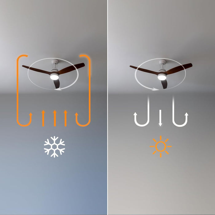 V2H8C2FD05A1E65B40BAAA59B16D049BB76R7708889P9