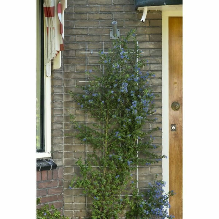 V9HD6C4949E70F7D948D0341FB5B249BF18R7321275P3