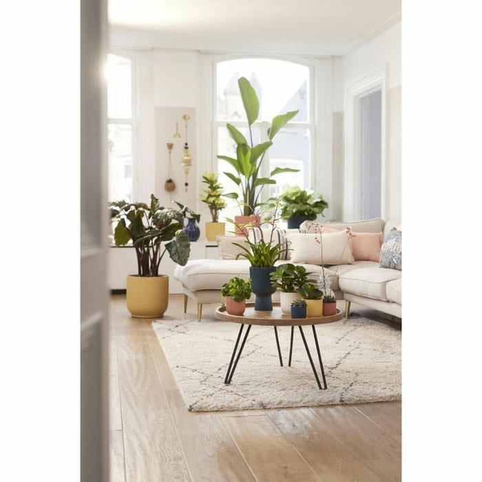 V8HBD58DCFE9C777704EA73623BD86CCC26R3436821P6