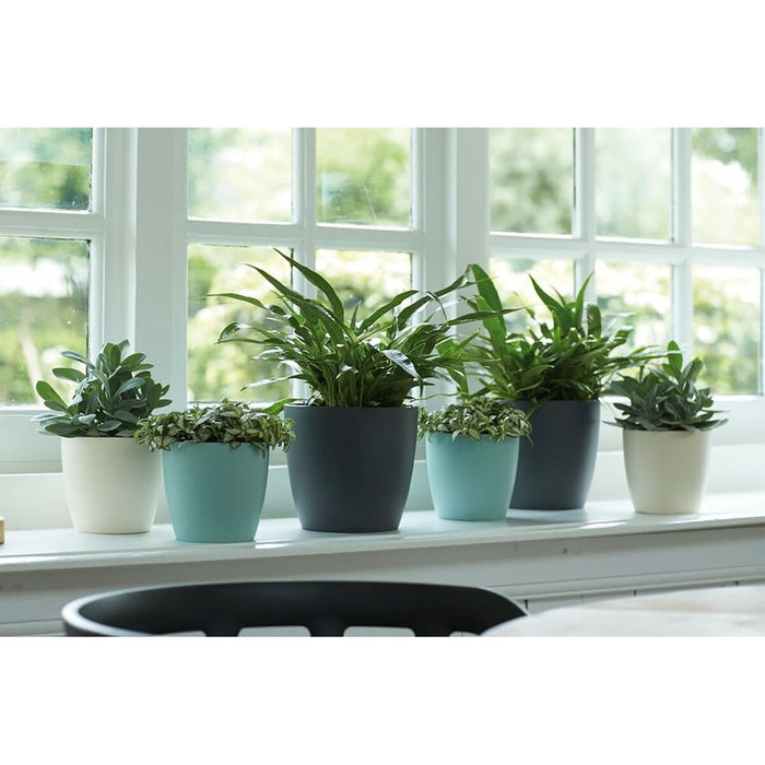 V4HD95D1B6D166017E79E4749E6D4D01A28R6746312P3