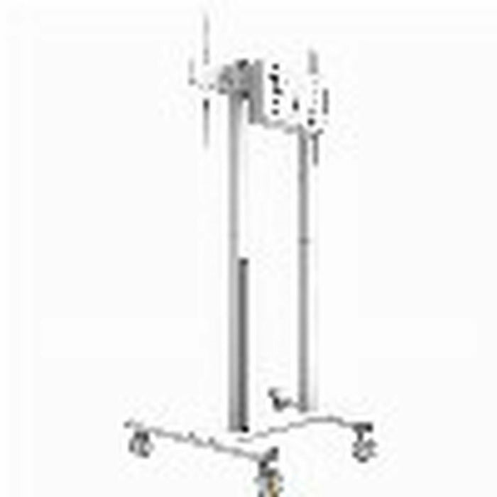 V4H665799C89EA231EF81CFC6E6B0037896R6241785P5