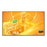 V2HA4100633A6060FAC935EAF54FB6E2812R7833006P1