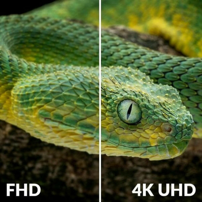 V4HF08A4B8733653E2181245A4AFFCC7694R6246584P7