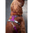Harnais pour Chien Red Dingo Dingo 30-47 cm 37-52 cm Violet S