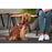 Dog Harness Red Dingo Dingo 30-47 cm 37-52 cm Purple S
