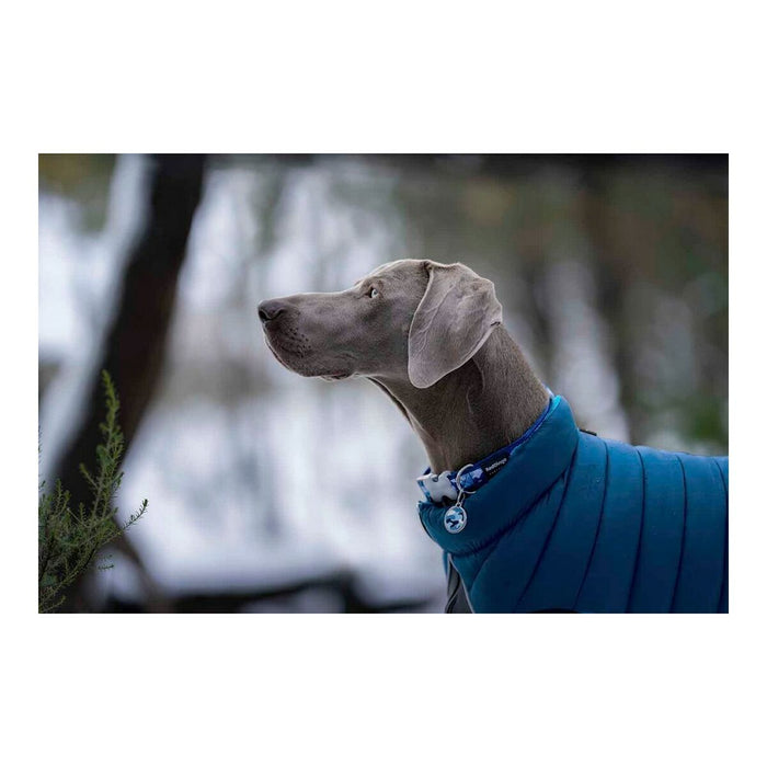 Manteau pour Chien Red Dingo Puffer Turquoise 30 cm