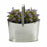 Plant pot Basket Silver Zinc 21 x 19,5 x 35,5 cm (12 Units)