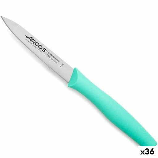 Couteau Arcos Vert Menthe Acier inoxydable polypropylène (36 Unités)
