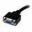Câble DVI-I vers VGA Startech DVIVGAMF8IN          Noir 0,2 m