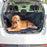 Housse de Protection de Voiture pour Animaux Petchez InnovaGoods